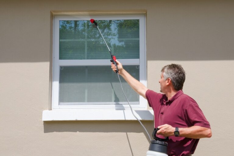 Keep Pests at Bay with Cost-Effective DIY Solutions